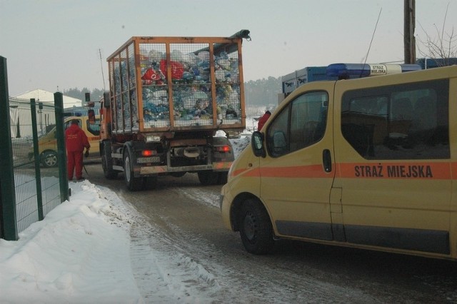 Nie mogliśmy sprawdzić w jakich warunkach żyją psy na wysypisku, gdyż nie wpuszczono dziennikarza za bramę