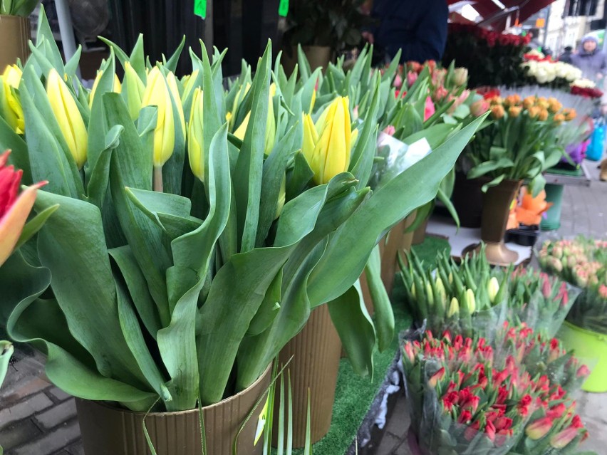 Najbardziej popularnym kwiatem jest tulipan, a zaraz po nim...