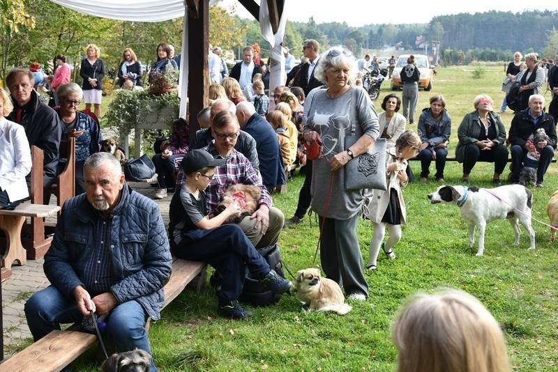 Msza w intencji właścicieli zwierząt w Kalonce. Wierni przyprowadzili psy, koty, króliki, konie i... wielbłąda! [zdjęcia] 