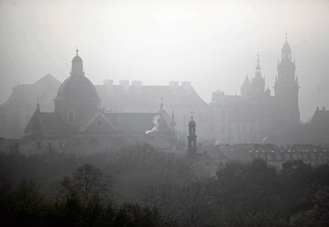 Ekodoradcy mają pomóc uwolnić Polskę od smogu