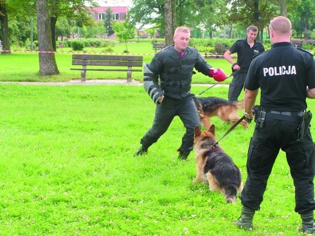 Ćwiczenia pokazały, jak policjantom przydają się wyszkolone psy