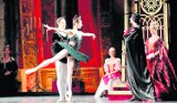 Saint Petersburg Ballet w Częstochowie