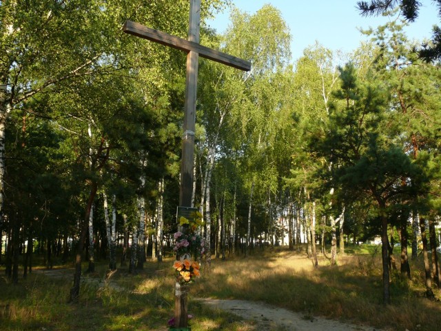 Krzyż, jaki od półtora roku stoi w Stalowej Woli, jest obiektem niezgody.