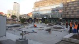Katowice: sadzą drzewa na katowickim rynku! [ZDJĘCIA]