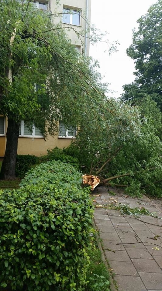 Ulica Wierzbowa w Białymstoku