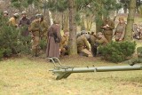 Bitwa o Poznań 2015: Czołg T-34 i kilkuset rekonstruktorów - inscenizacja walk z 1945 r. [ZDJĘCIA]