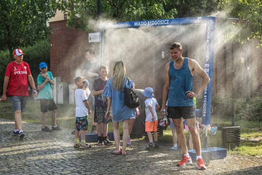 "Tyczka na Wyspie". Memoriał Ireny Szewińskiej w Bydgoszczy