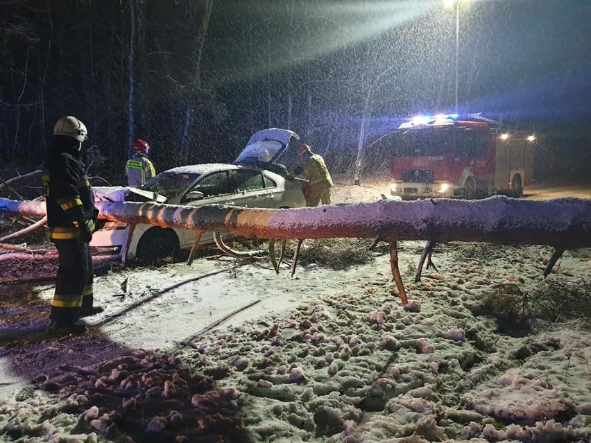 W Żołędowie pod Bydgoszczą auto osobowe uderzyło w drzewo,...