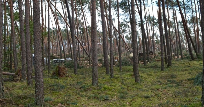 Tragedia w Suszku na Pomorzu. Zginęli harcerze z Łódzkiego