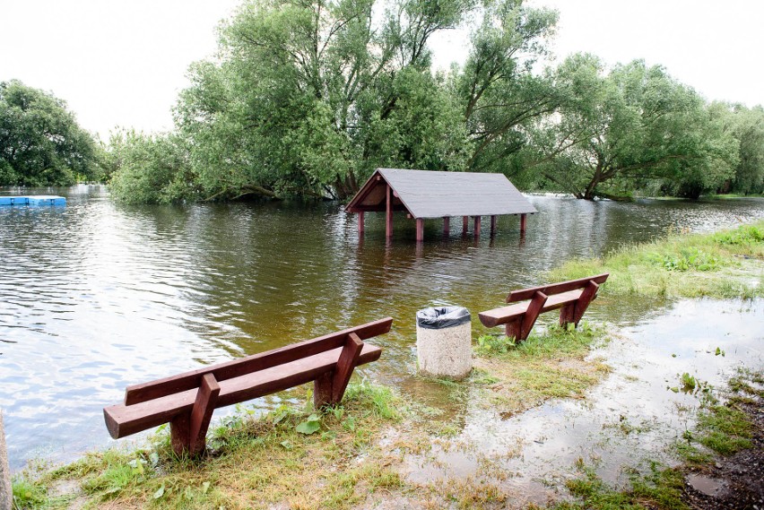 Wisła w Toruniu powoli opada. 472 cm wyniósł poziom wody w...