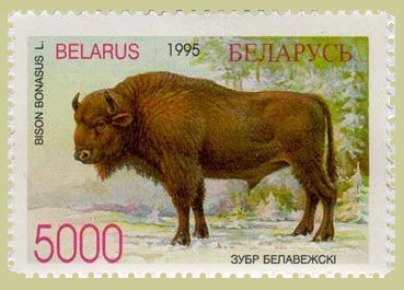 Żubr białowieski na białoruskim znaczku pocztowym.