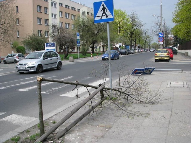 Złamane drzewko i znak na skrzyżowaniu ulic Orląt Lwowskich i Katowickiej.