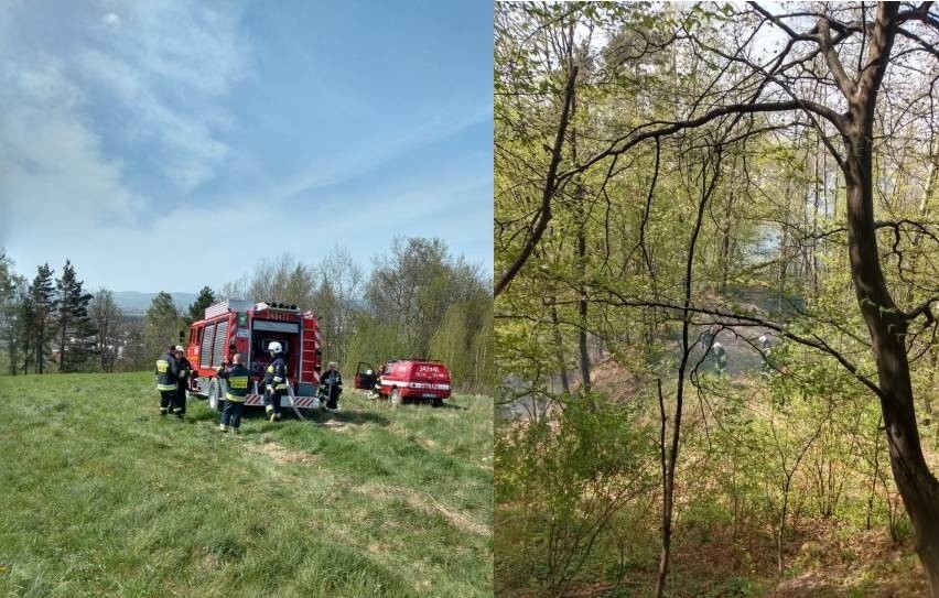 Nowy Sącz. Pożar lasu przy ul. Jamnickiej. Spłonęło 1,5 ha lasu