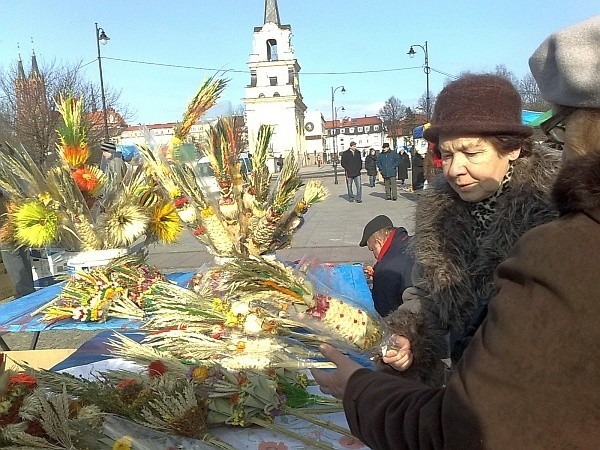 Największym zainteresowaniem cieszą się piękne palmy