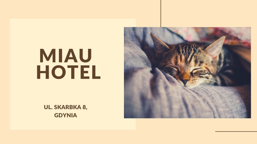 Miau Hotel...