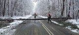 Skutki intensywnych opadów śniegu w województwie lubelskim. Strażacy interweniowali ponad 800 razy