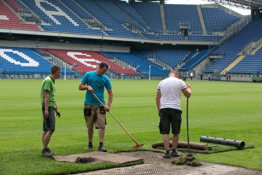 Stadion Wisły. Nowa murawa czeka na reprezentację [WIDEO, ZDJĘCIA]