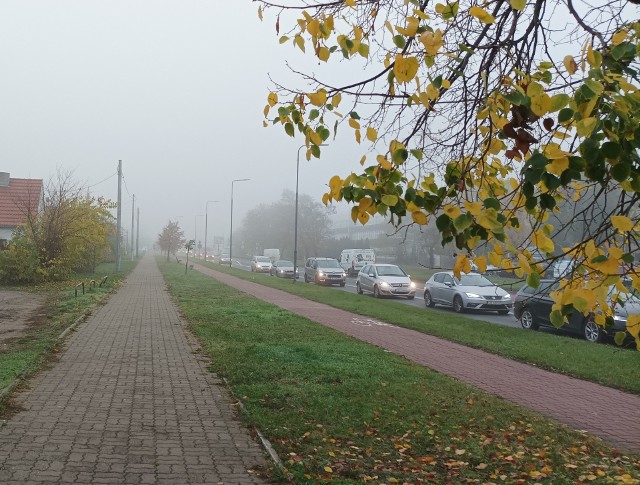 Do połowy przyszłego tygodnia w regionie dominować będzie słoneczna i ciepła aura, ale noce i poranki mogą być mgliste.