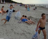 Akcja "Czyste Plaże". Podsumowanie lipca: dzieci zbierają coraz mniej puszek