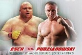 Esch vs Pudzianowski. KSW 14 wygrał Mariusz Pudzian Pudzianowski w kilkadziesiąt sekund. (wideo)