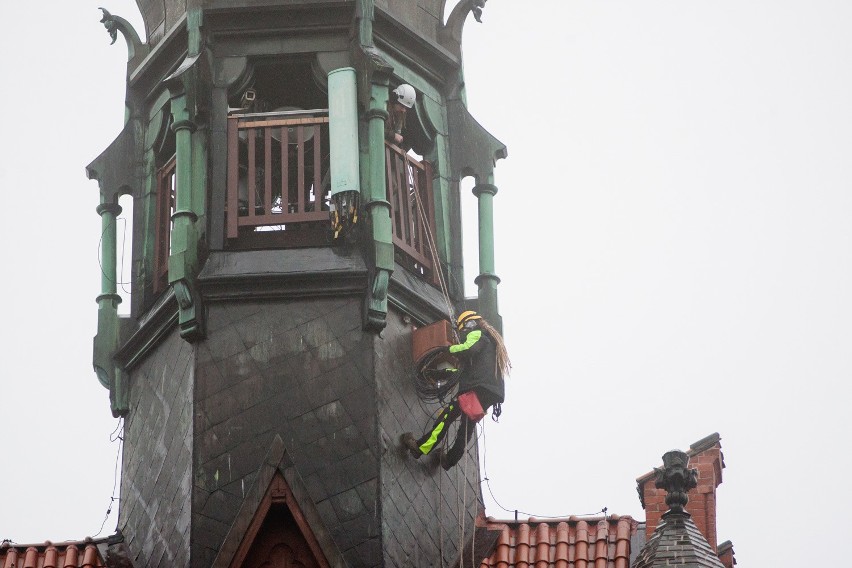 Alpiniści zamontowali gniazdo dla pustułki na wieży ratusza