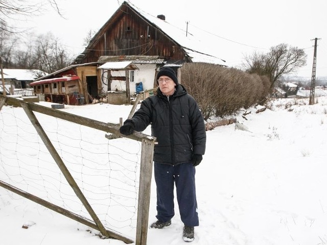 Dziki podchodzą już pod budynki, m.in. w Siedliskach k. Rzeszowa. Tylko zwiększenie odstrzału może rozwiązać problem mieszkańców i rolników.