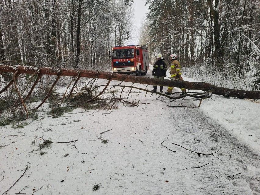 Podlaskie. Zima zaatakowała. Trudne warunki na drogach i tysiące odbiorców bez prądu