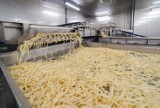Fabryka w Lęborku wstrzymuje produkcję frytek! Co z pracownikami Farm Frites? "Robimy wszystko, aby utrzymać wszystkie miejsca pracy"
