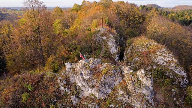 Grodzisko Pańskie w Dolinie Wodącej