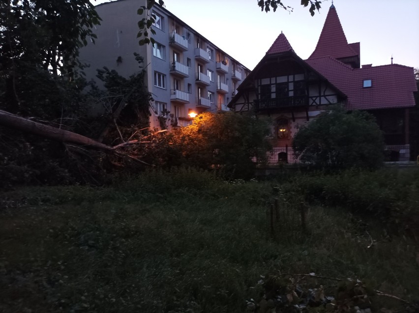 To, że po każdej wichurze na osiedlu Mokre w Toruniu padają...