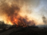 Tragiczne skutki wypalania traw. 80-latek znaleziony martwy w Sokołowie Małopolskim, to pierwsza ofiara śmiertelna na Podkarpaciu