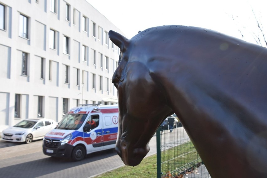 Figura konia stanęła przed Centrum Zdrowia Matki i Dziecka w...