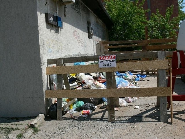Za wyrzucenie śmieci w niedozwolonym miejscu grozi mandat karny w wysokości 100 złotych. Tak wygląda miejsce po dawnym śmietniku przy ulicy Piłsudskiego 10 w Tarnobrzegu.