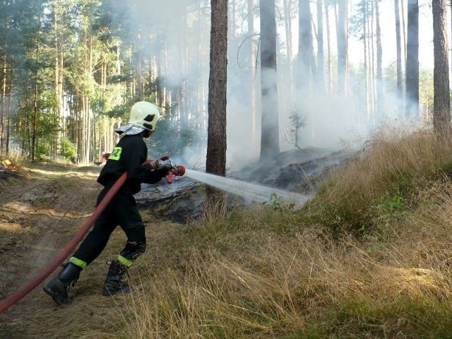 W akcji gaśniczej uczestniczyło ponad 30 strażaków.