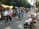 III Pomorski Ekofestiwal - w niedzielę, 29 sierpnia, na ul.Nowobramskiej w Słupsku