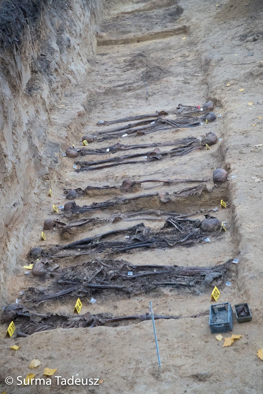 Na terenie Stalag II-D odkryto szczątki kilkudziesięciu osób