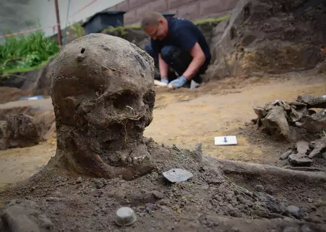 Szczątki niemieckich żołnierzy zostaną poddanie badaniom antropologicznym. One pozwolą określić wiek poległych, a także być może dadzą odpowiedź na pytanie, jak zginęli.