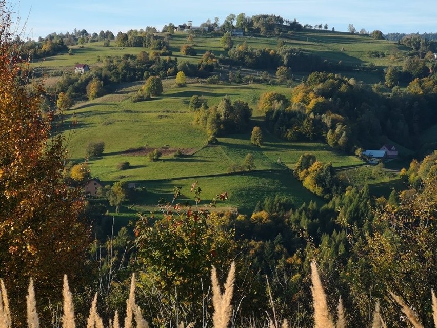 Piwniczna - Zdrój. Piękna jesienna trasa na Radziejową [ZDJĘCIA]