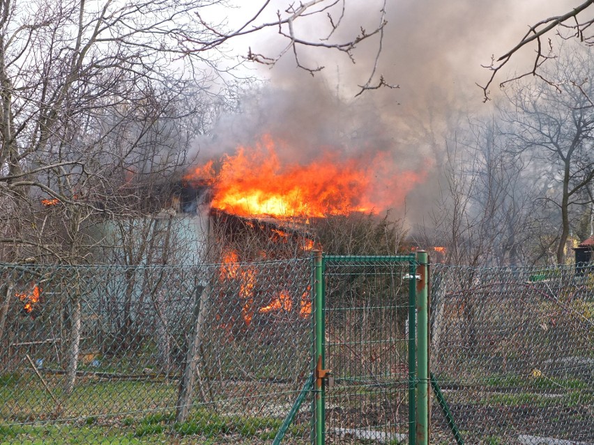 Groźny pożar na działkach w Opolu [wideo, zdjęcia] 