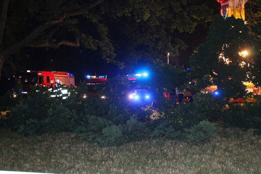 Do wypadku doszło po godz. 21 w parku w Strzelcach...
