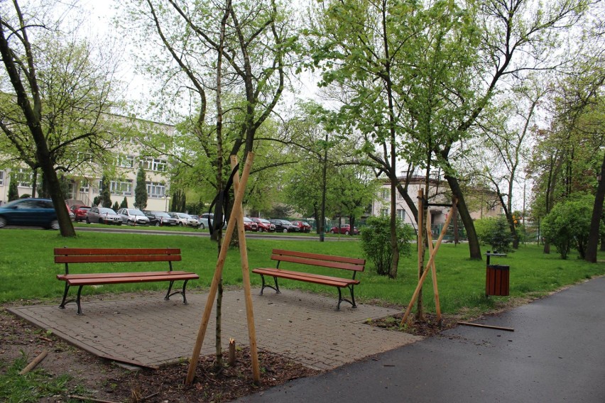 Wandale zniszczyli drzewka i wyposażenie parku na Plantach w...