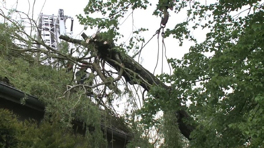 Wiatr zwalił drzewo na dach domu (WIDEO, ZDJĘCIA)...