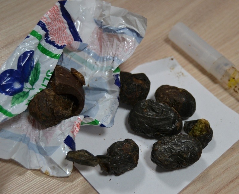 Areszt Śledczy. Narkotyki w czekoladowych cukierkach (zdjęcia)