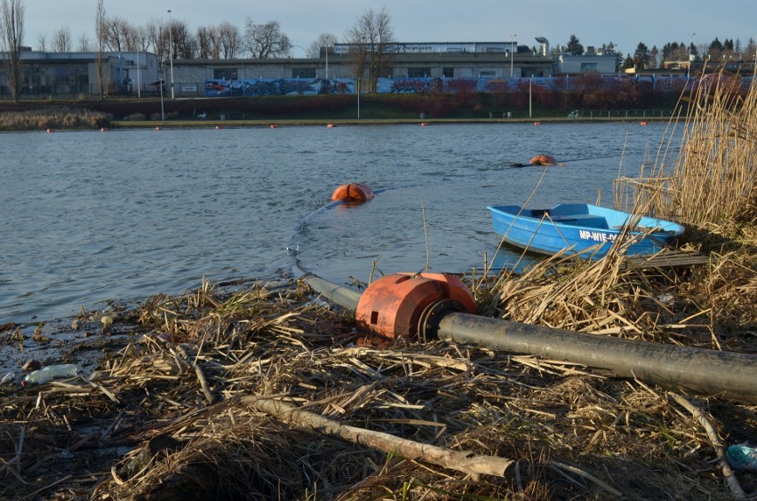 Kontenery z mułem przy brzegu rzeszowskiego zalewu nie przeszkadzają mieszkańcom. Odmulanie idzie zgodnie z planem [ZDJĘCIA, WIDEO]