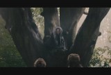 Kto powinien obejrzeć film "Tajemnice lasu"? [WIDEO]