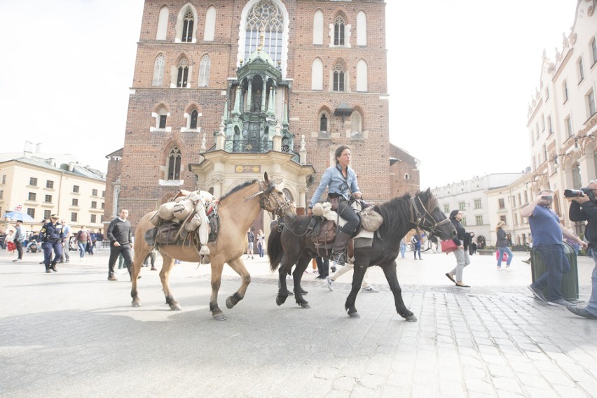 Mongolska strzała dotarła do Krakowa. Jako znak pokoju [ZDJĘCIA, WIDEO]