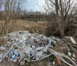 Toruń. Dzikie wysypiska śmieci. Ile zgłoszeń i gdzie będzie sprzątane?