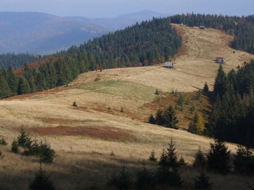 Gorce to pasmo górskie leżące w Beskidach Zachodnich. Nazwa...