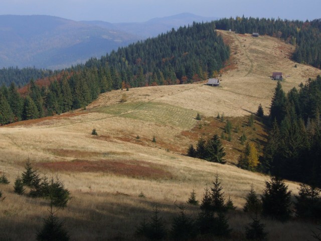 Gorce to pasmo górskie leżące w Beskidach Zachodnich. Nazwa związana jest prawdopodobnie ze słowem gorzeć (palić się, płonąć) i pochodzi od sposobu uzyskiwania polan śródleśnych metodą żarową. W innych źródłach można też spotkać nazwę Górce, która mogłaby oznaczać niskie góry. Jakby nie było, są to niższe od Tatr góry, przez wielu niedocenianie. Tymczasem jest to miejsce, gdzie naprawdę można się zgubić, odciąć od cywilizacji, a w czasie wypadku nie spotkać ani jednej żywej duszy. Co w sytuacji zagrożenia jest wręcz pożądane. Gdzie więc idziemy? Zobacz dalej propozycje tras (wybraliśmy je w oparciu o portal pieniny.com).