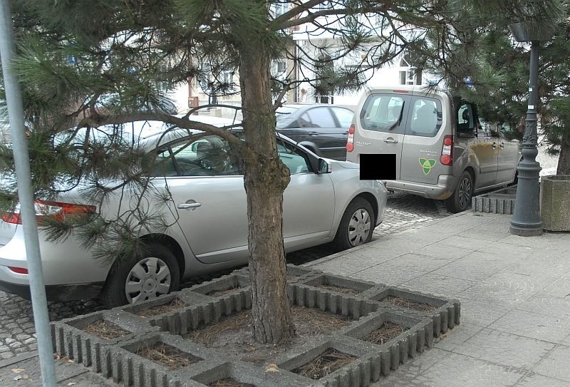 Radni wrócili z sesji z mandatami za parkowanie. Brawo straż miejska! (zdjęcia)